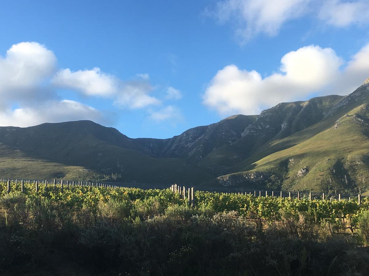 Misty Mountains Villa Hermanus Eksteriør billede