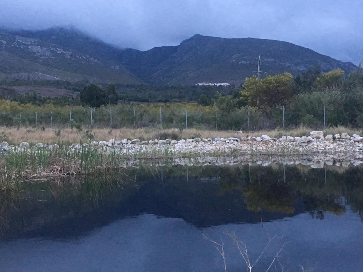 Misty Mountains Villa Hermanus Eksteriør billede